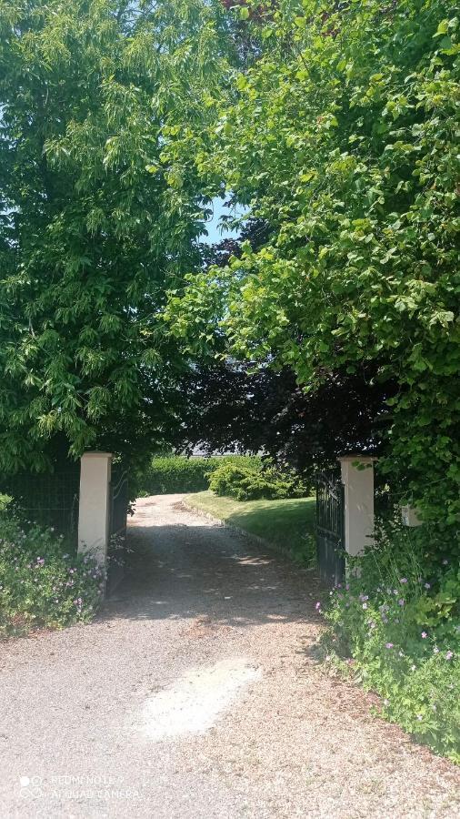 La BELLA 12 Appartement gite dans maison d'hôtes Bordeaux-Saint-Clair Exterior foto